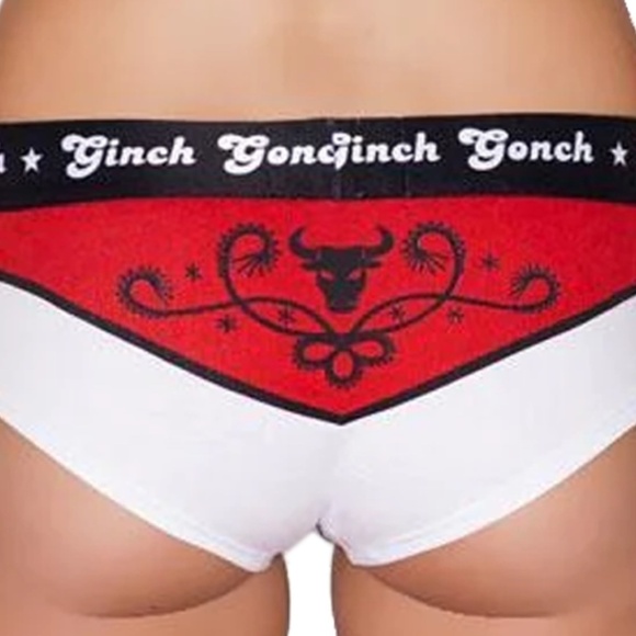 GINCH Gonch Boyfriend Inspired Brief Underwear Panty El Toro Print NIP - Picture 7 of 12